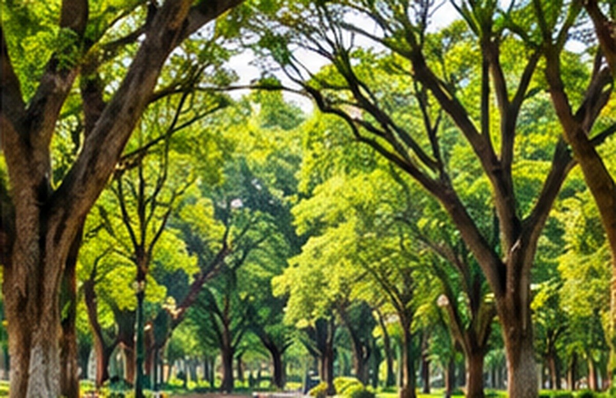 Cubbon Park tourist attraction